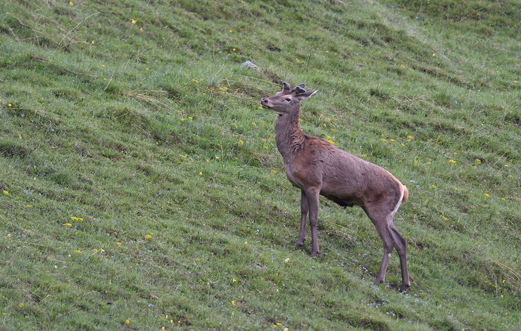 DS5_7776.jpg