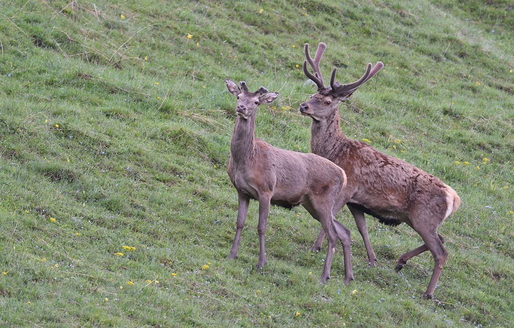 DS5_7786.jpg