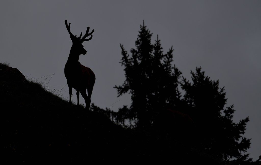 DS5_7806.jpg
