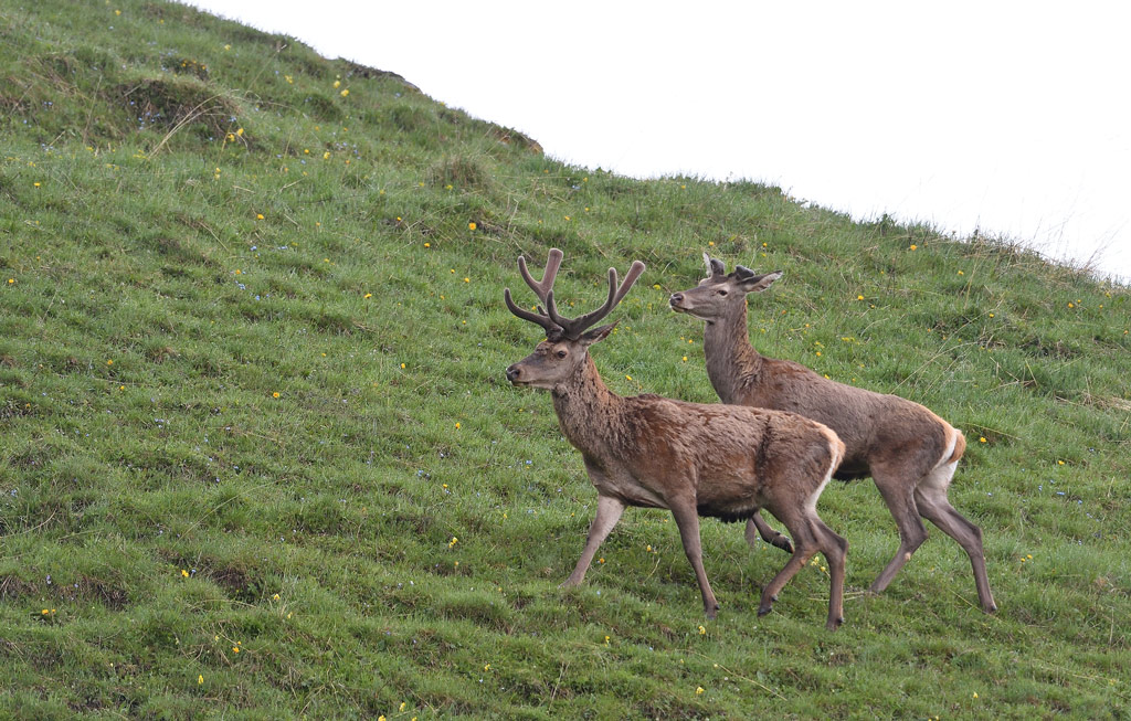 DS5_7816.jpg