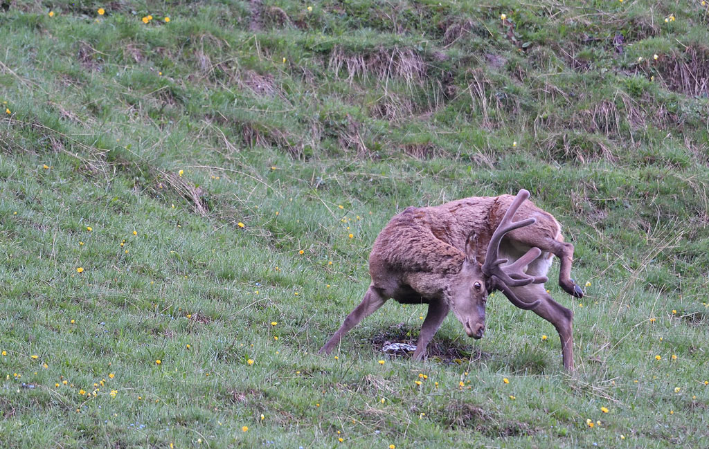 DS5_7850.jpg