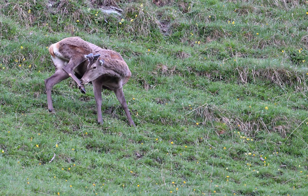 DS5_7855.jpg
