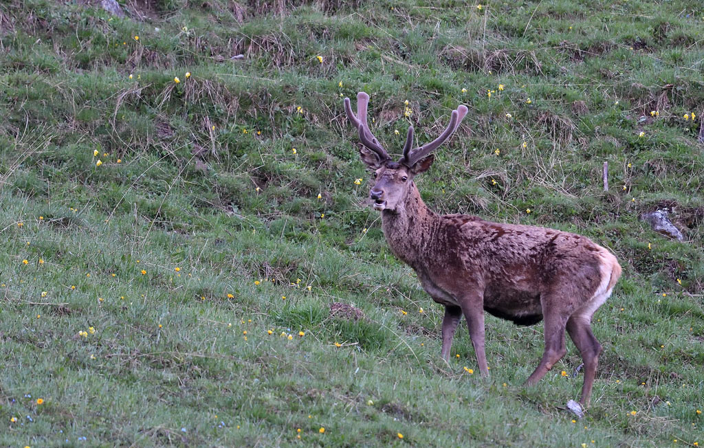 DS5_7858.jpg
