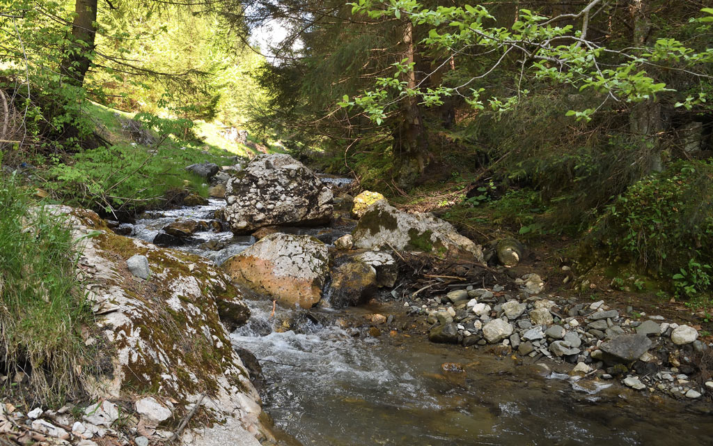 DS5_8004.jpg