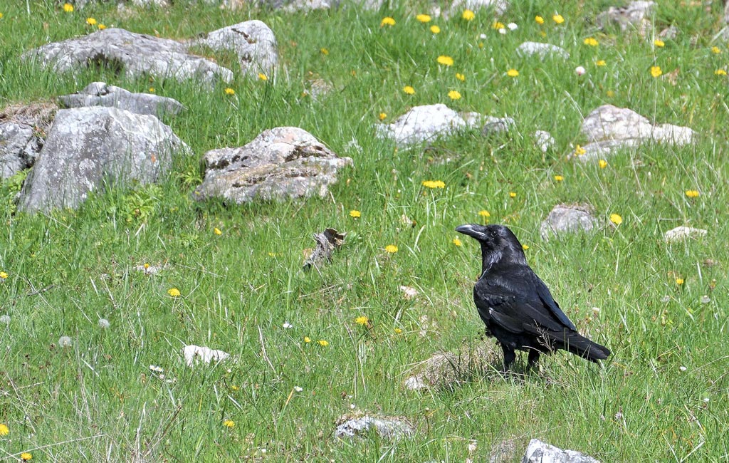 DSC_7260.jpg