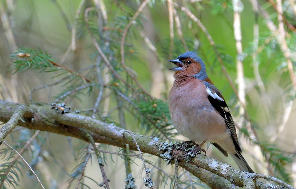 DSC_7274.jpg