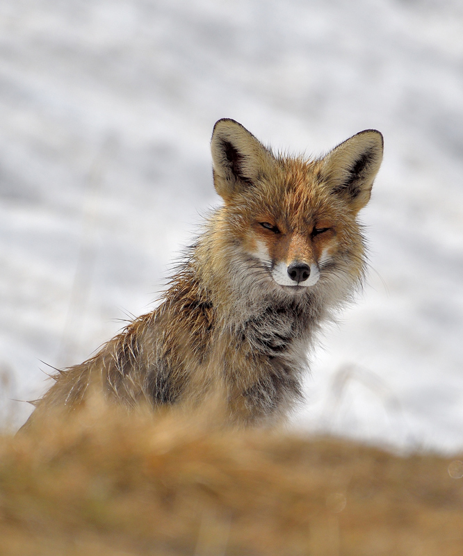 DSC_7565.jpg