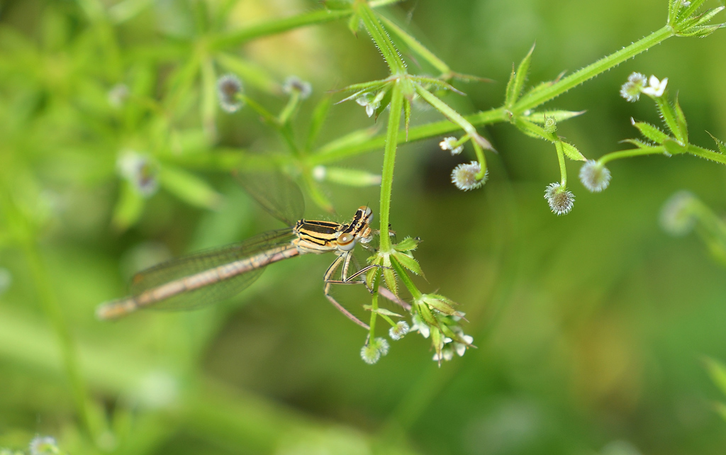 DSC_7614.jpg
