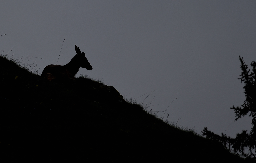 DS5_7866.jpg