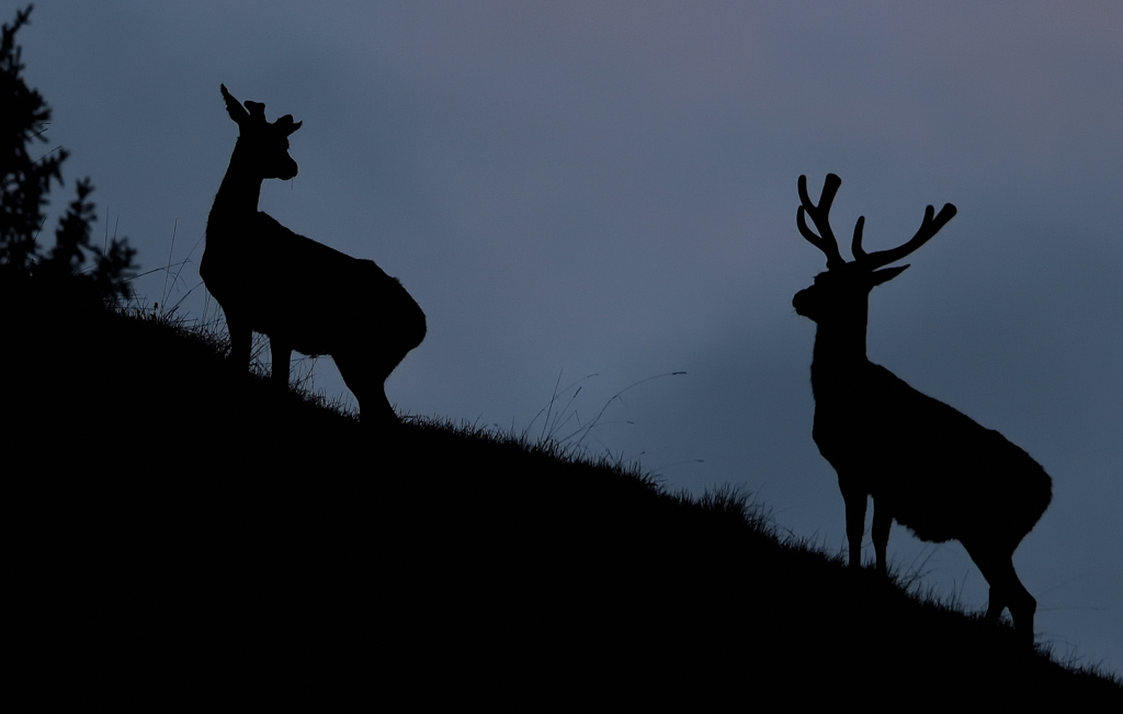 DS5_7876.jpg