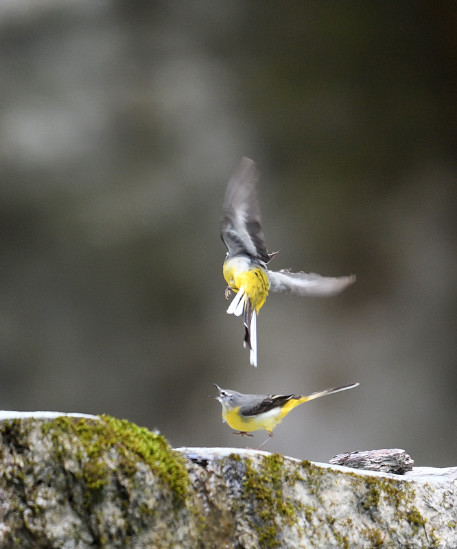 DS5_7914.jpg