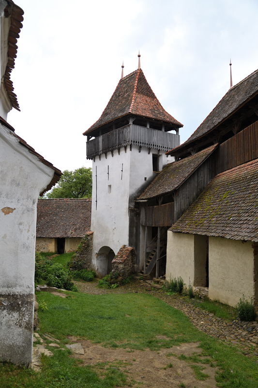 DS5_8439.jpg