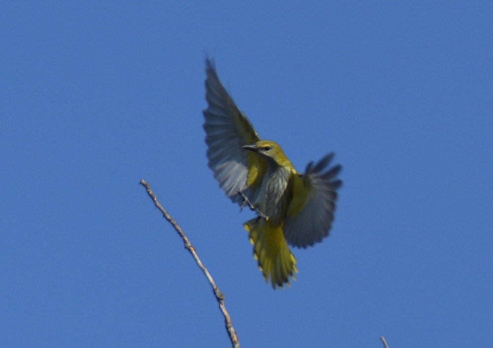 DSC_8034.JPG