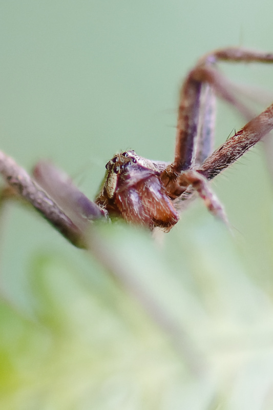 DSC_1843_DxO_1.jpg