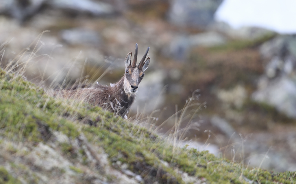 DS5_8527.jpg