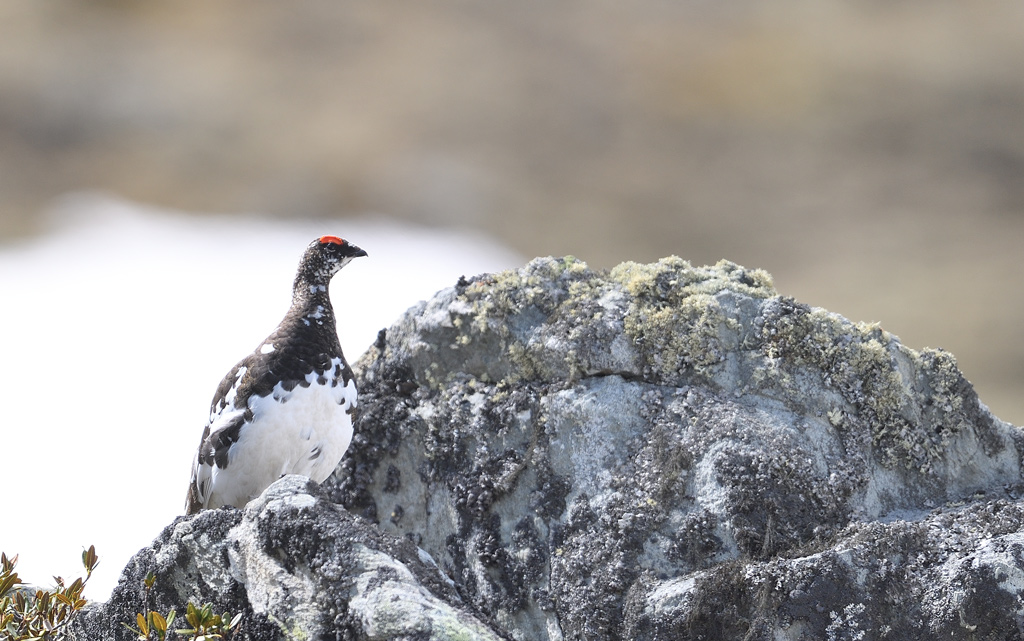 DS5_8702.jpg