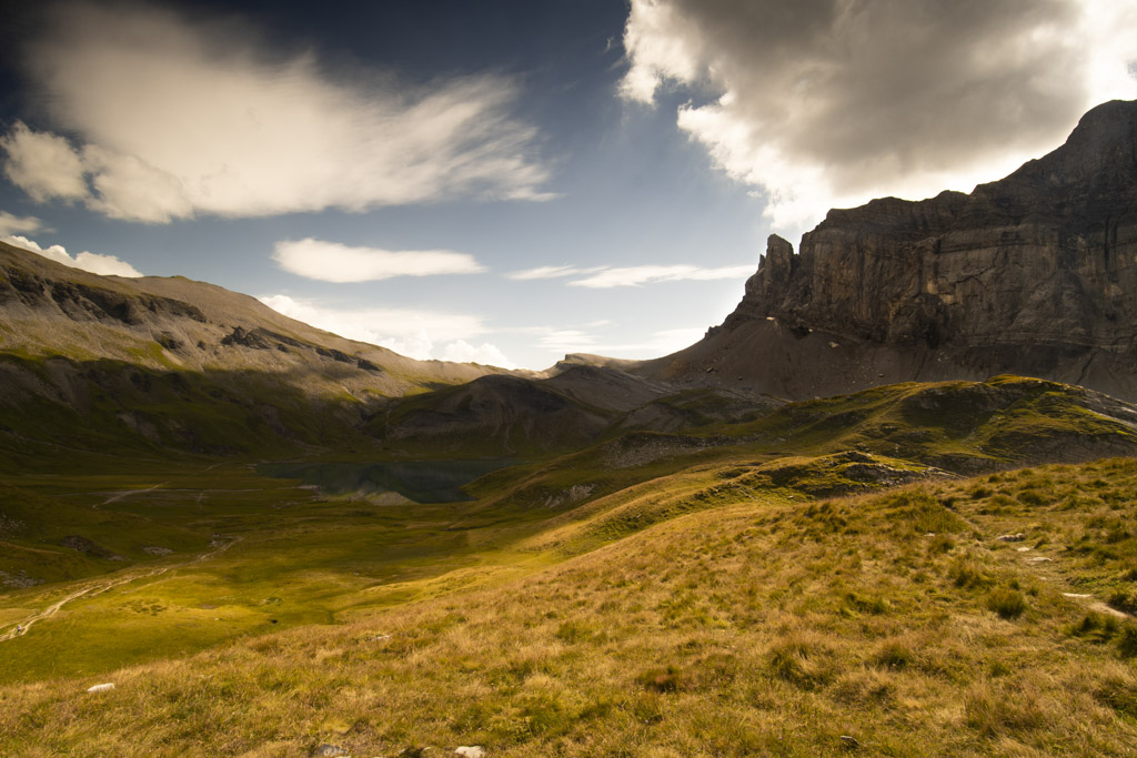 _DSC0903.jpg