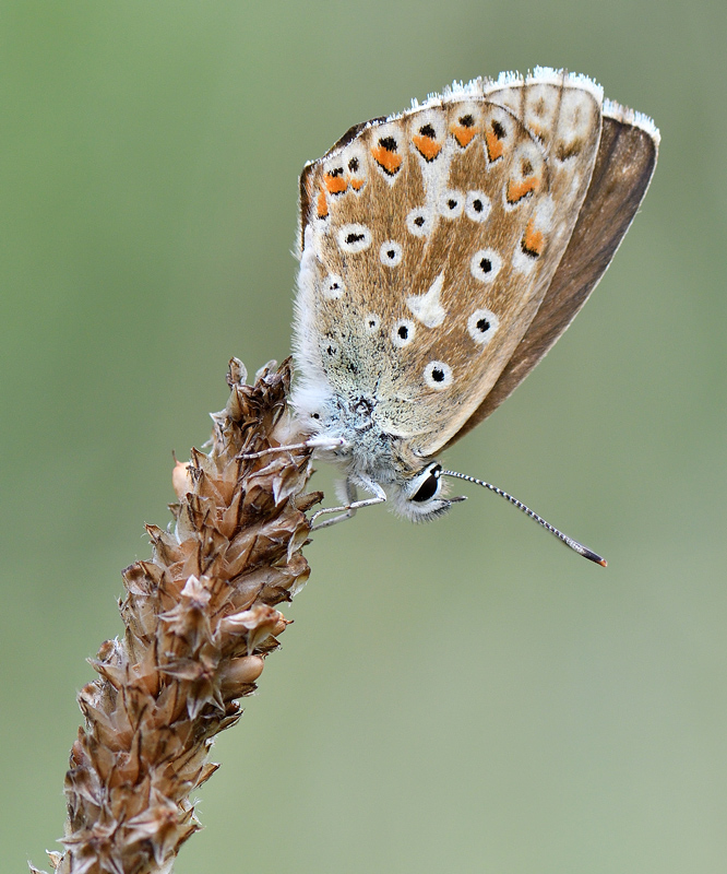 DSC_8823.jpg