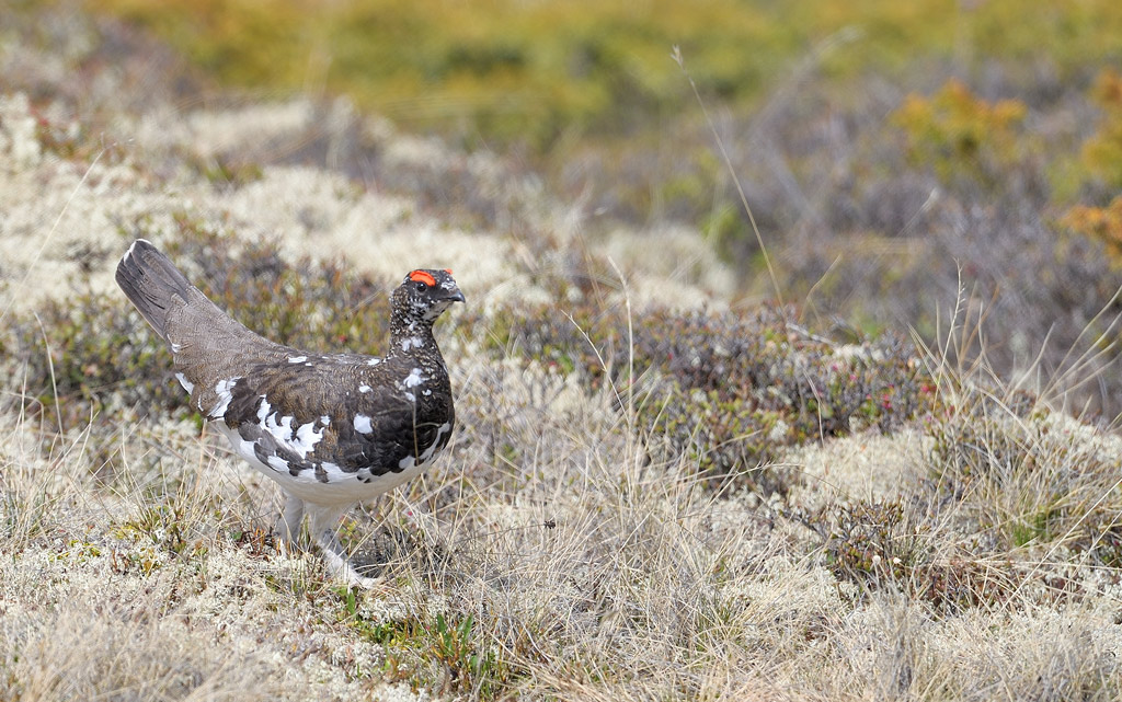 DS5_8734.jpg