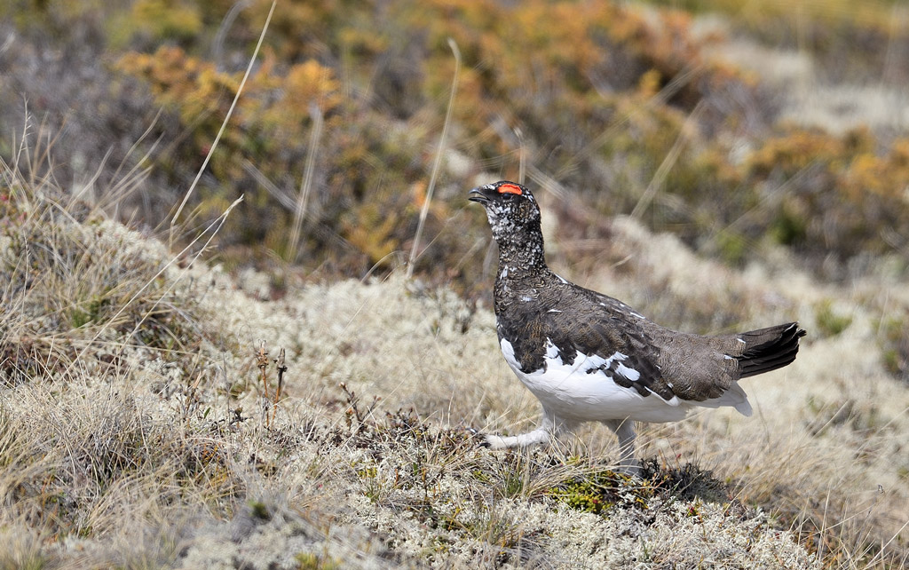 DS5_8751.jpg