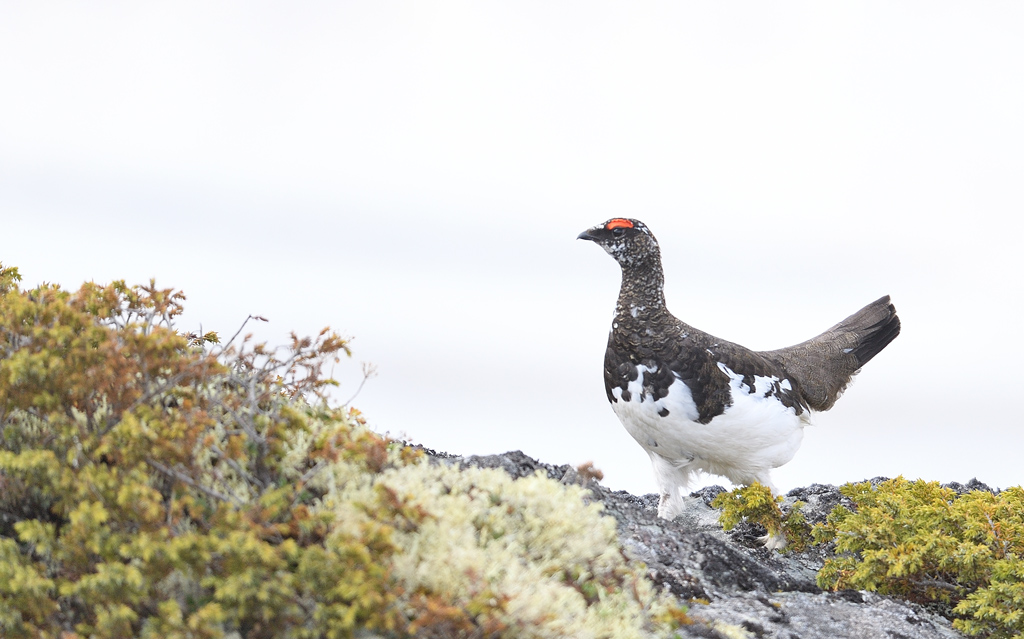 DS5_8783.jpg