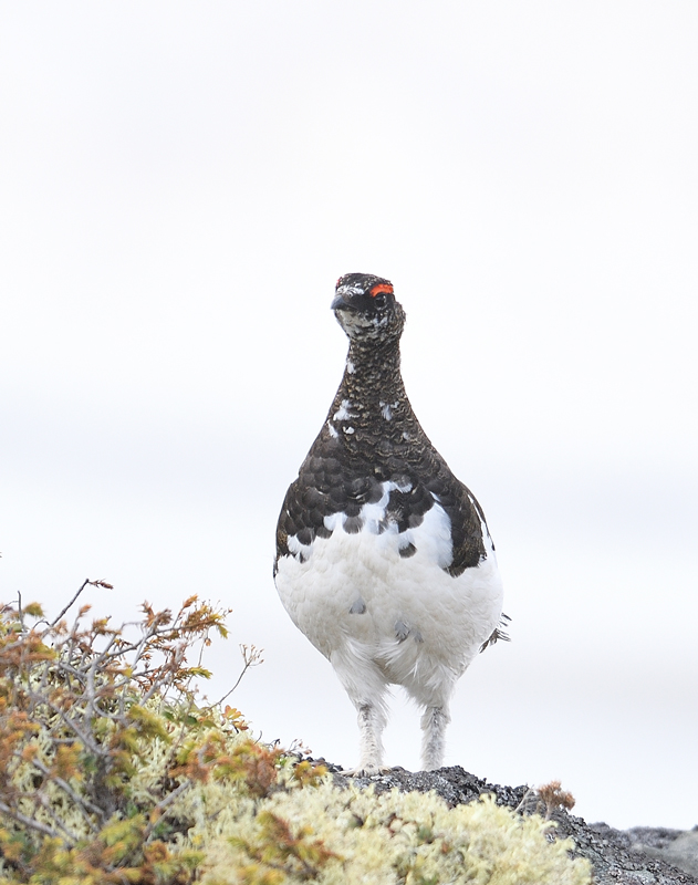 DS5_8786.jpg