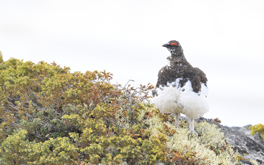 DS5_8790.jpg