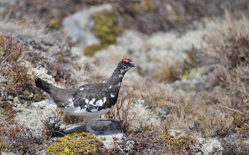 DS5_8803.jpg