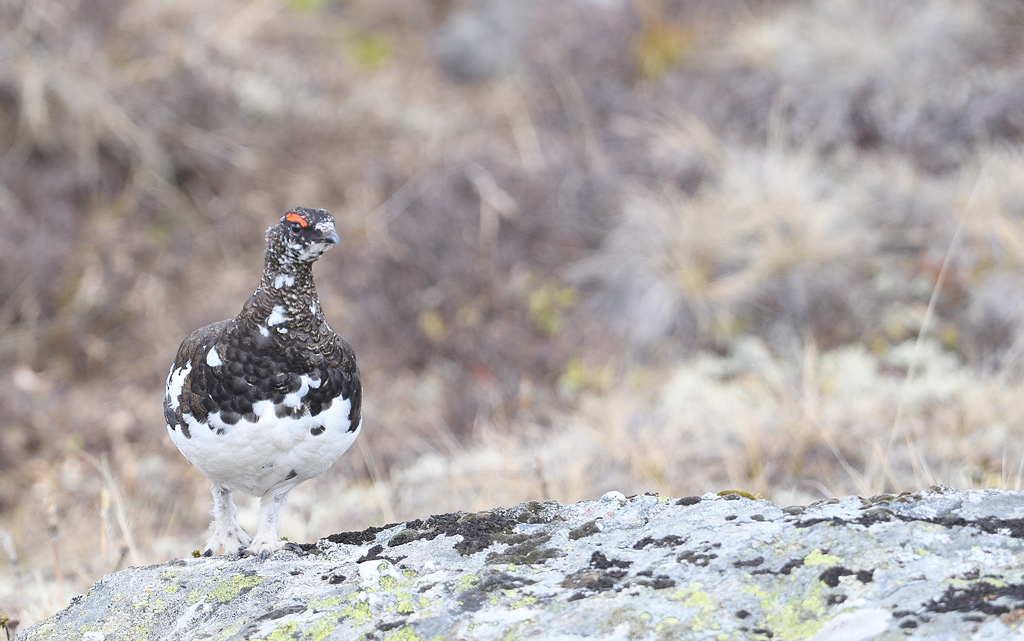 DS5_8821.jpg