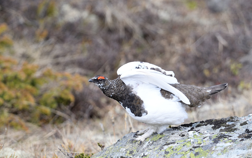 DS5_8826.jpg