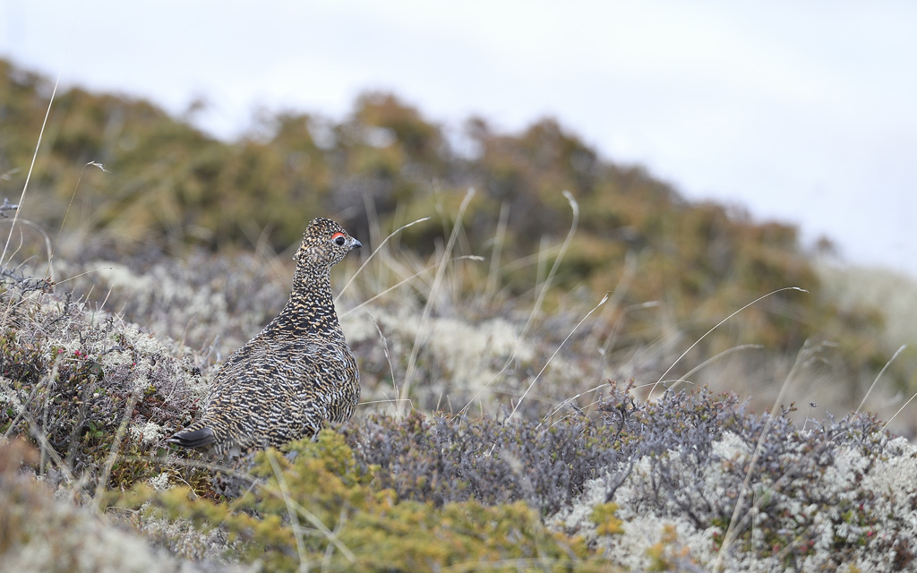 DS5_8829.jpg