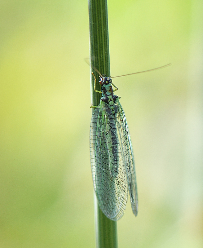 DSC_8961.jpg