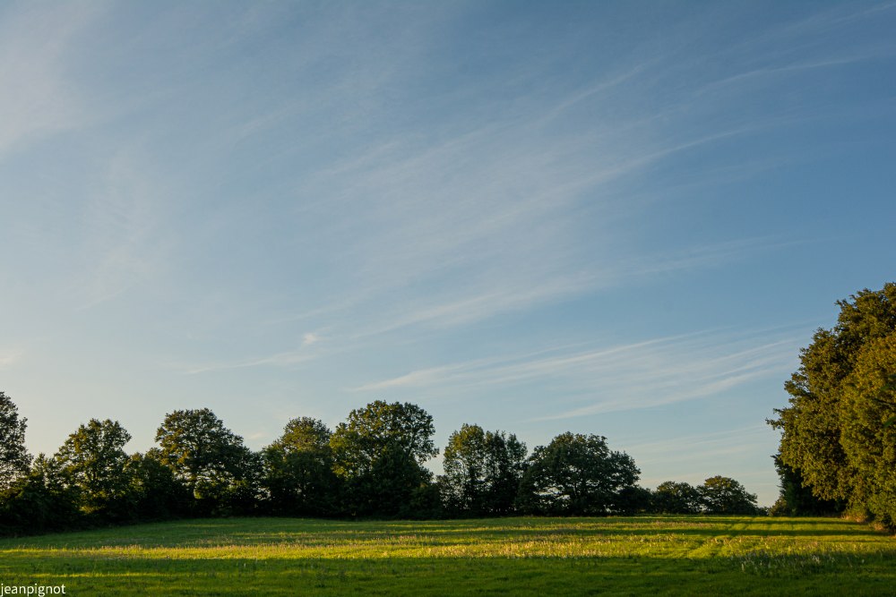 DSC_3087_1869.JPG
