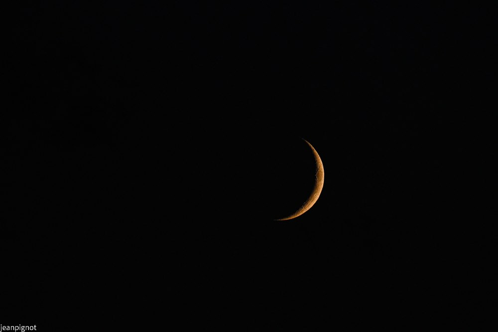 DSC_3642_1870.JPG