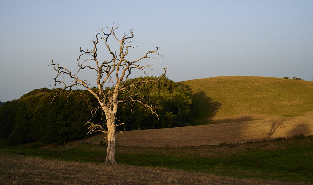 DD 7019_1_02.jpg