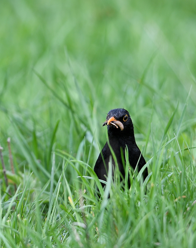 DS5_8854.jpg