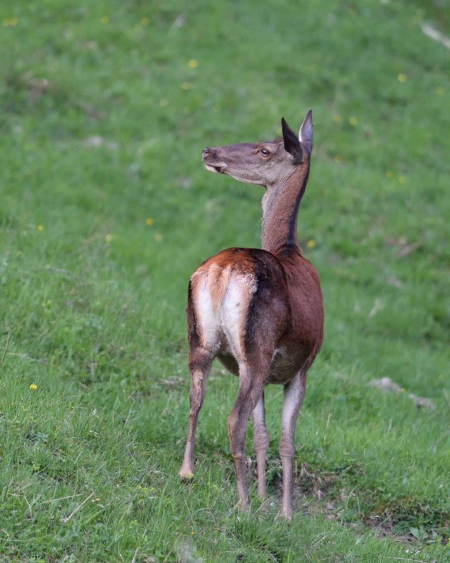 DS5_8872.jpg