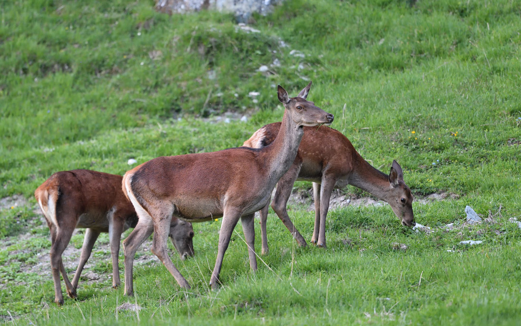 DS5_8885.jpg