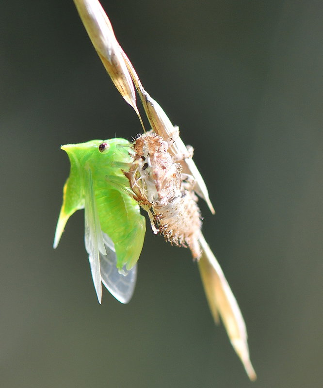 DSC_8976.jpg