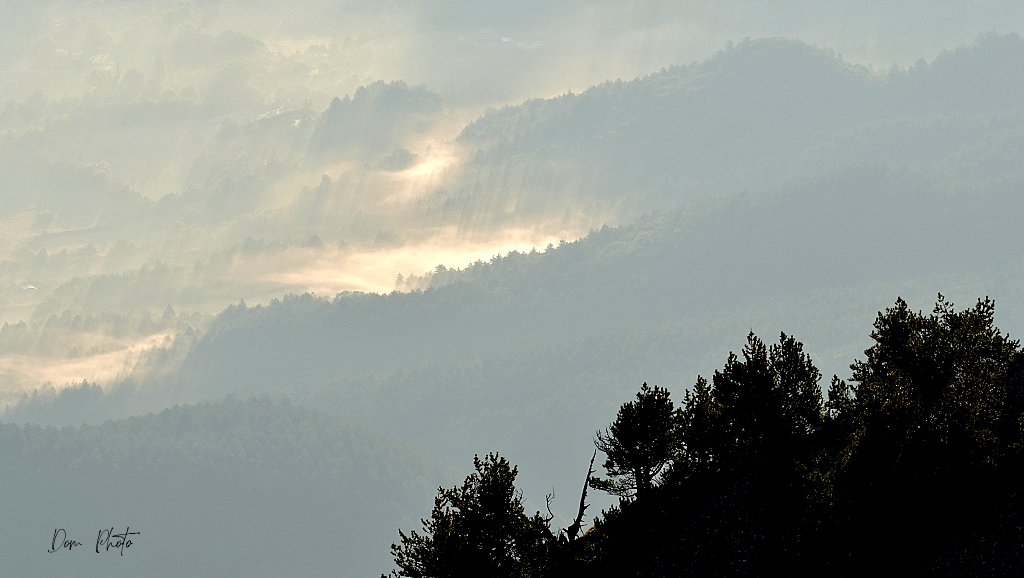 DSC_8203IN.jpg
