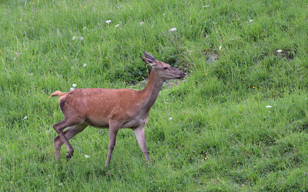 +DS5_8934.jpg