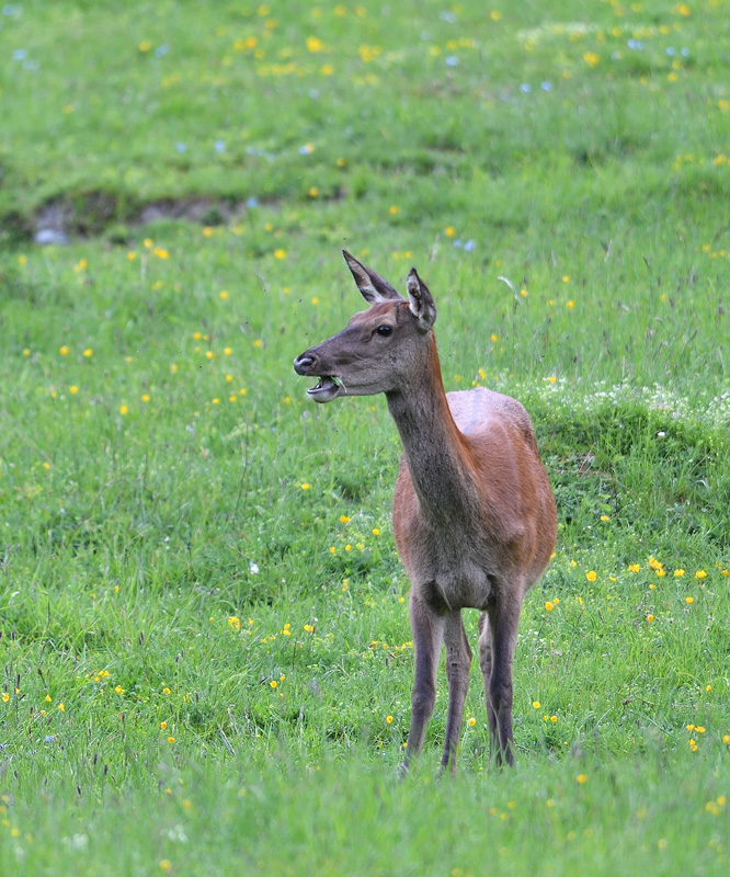 +DS5_8942.jpg