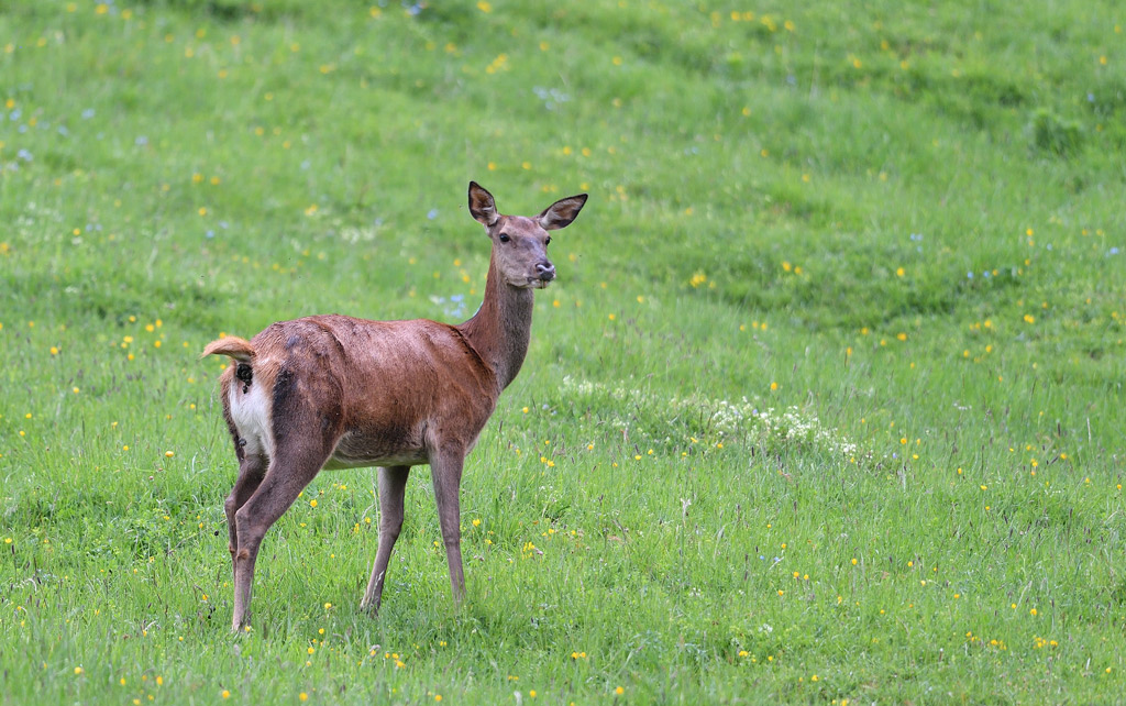 +DS5_8943.jpg