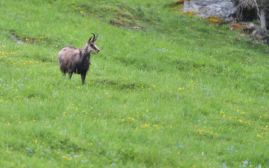 DS5_8945.jpg