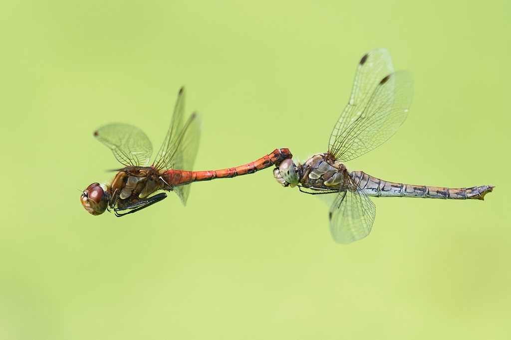 DSC_8337_DxO.jpg