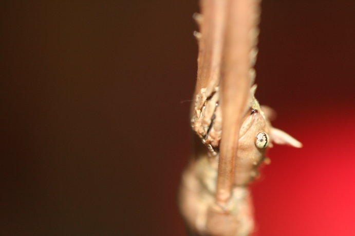 photo 1.jpg