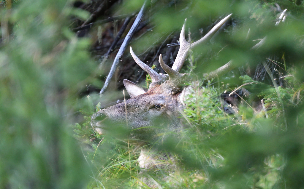DSC_9039.jpg