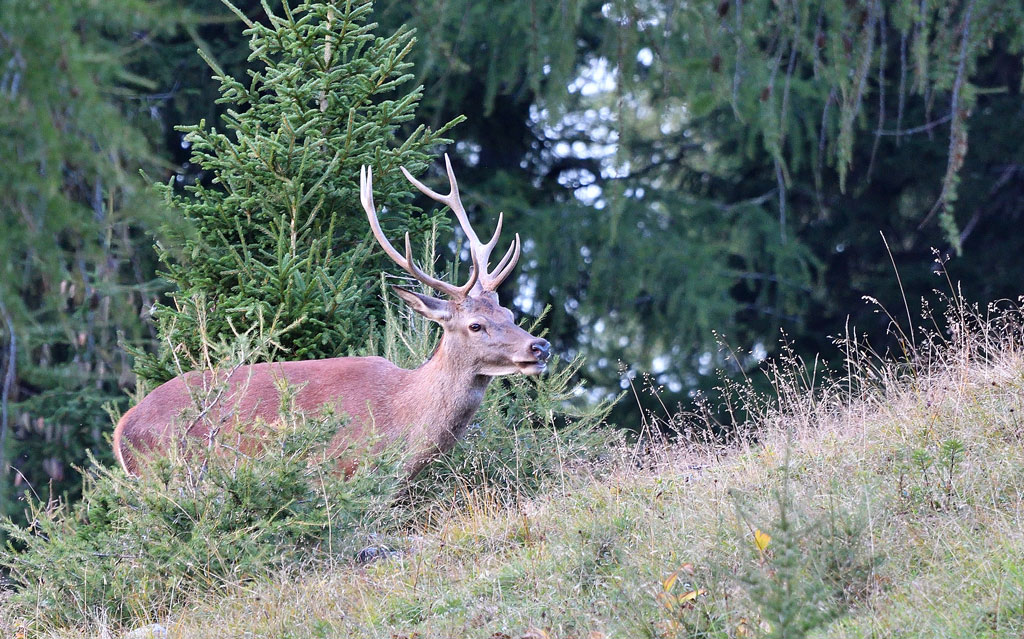 DSC_9076.jpg