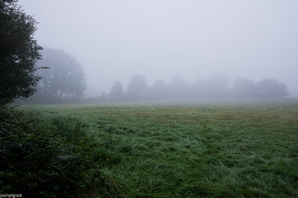 DSC_3092_1962.JPG