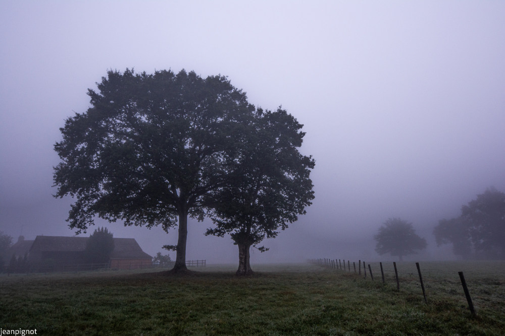 DSC_3090_1899.JPG